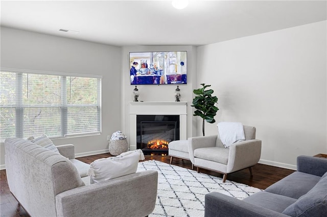 living room with hardwood / wood-style floors