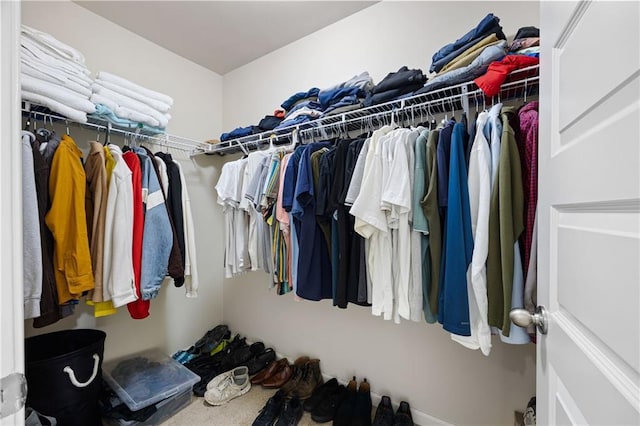 spacious closet with carpet