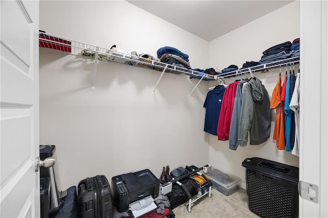 walk in closet featuring carpet floors