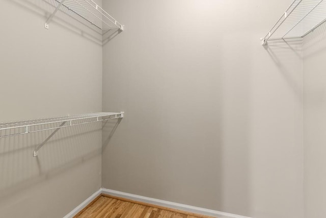 spacious closet with wood-type flooring