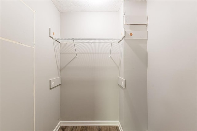 walk in closet featuring dark wood-type flooring