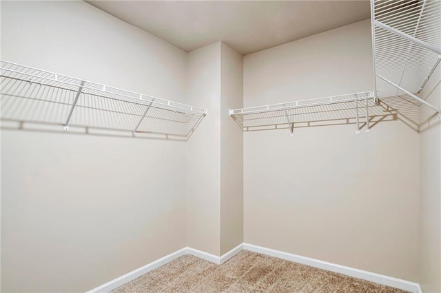 spacious closet with carpet