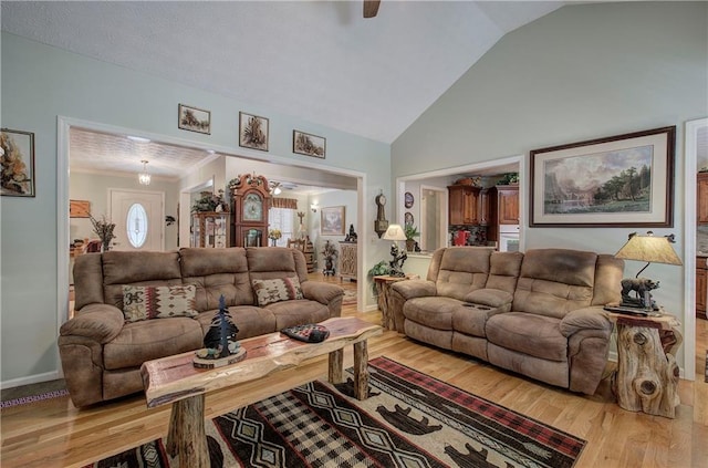 living room featuring light hardwood / wood-style flooring and high vaulted ceiling