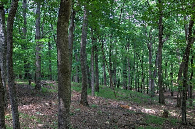 view of landscape