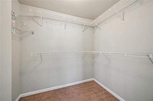 2726 Pierce Brennen Ct, Lawrenceville, GA 30043 - walk in closet with carpet