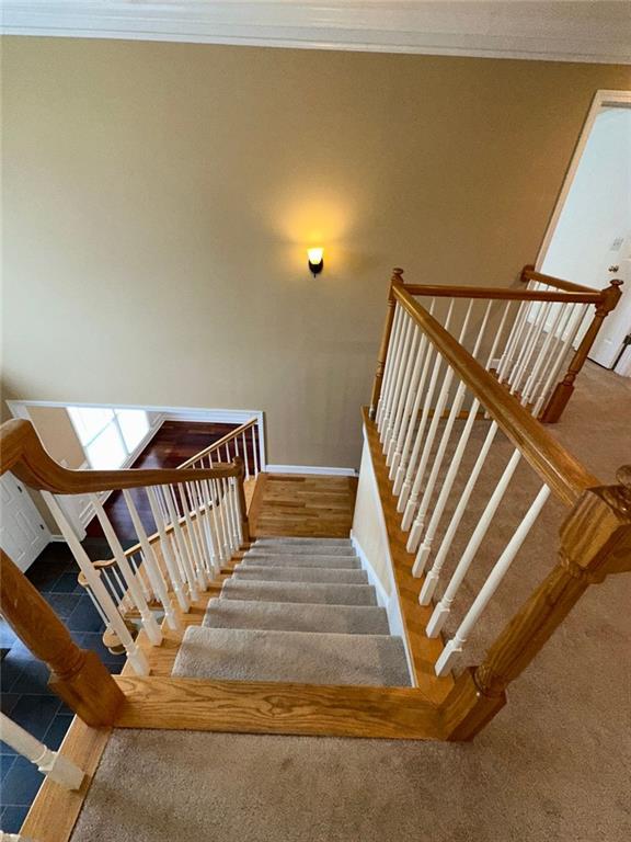 3381 Walkers Ridge Rd, Dacula, GA 30019 - stairway with crown molding, baseboards, and carpet