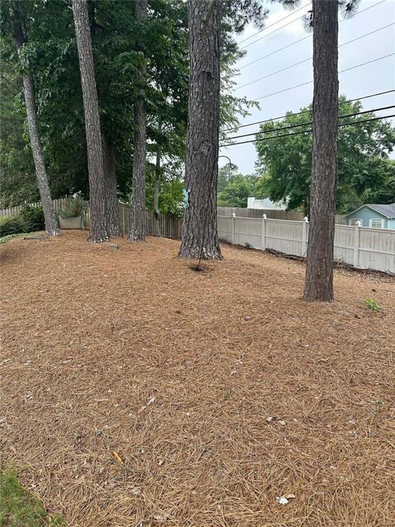 3381 Walkers Ridge Rd, Dacula, GA 30019 - view of yard