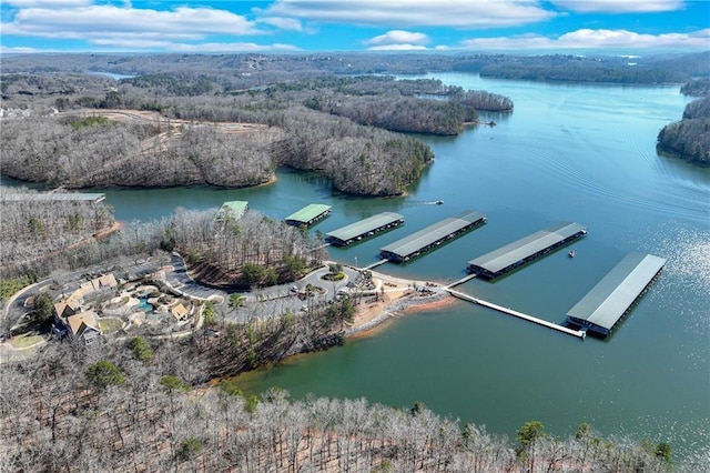 6756 Hedge Row Ln, Gainesville, GA 30506 - drone / aerial view of a large body of water
