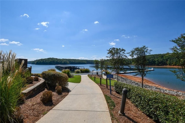 6756 Hedge Row Ln, Gainesville, GA 30506 - view of home's community with a water view