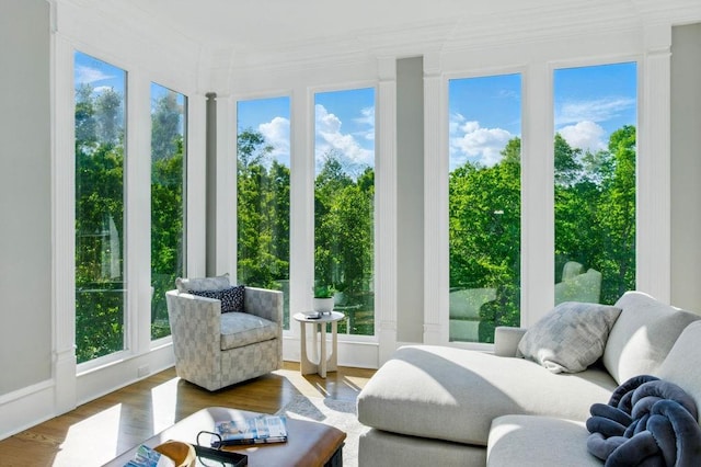 6756 Hedge Row Ln, Gainesville, GA 30506 - sunroom / solarium featuring plenty of natural light, wood finished floors, and ornamental molding