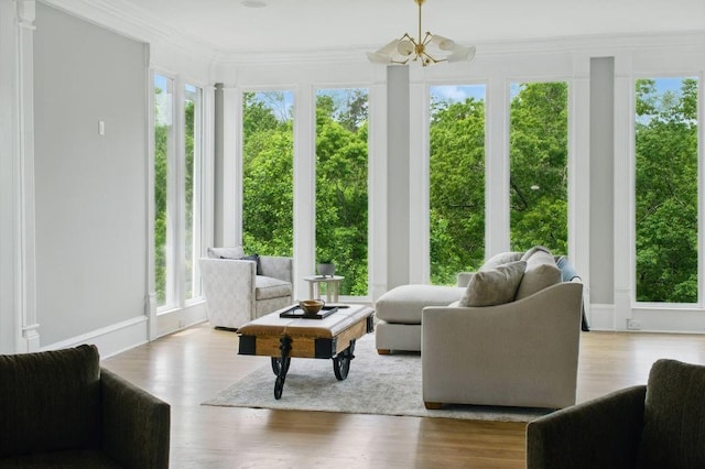 6756 Hedge Row Ln, Gainesville, GA 30506 - sunroom / solarium featuring healthy amount of natural light, wood finished floors, and crown molding