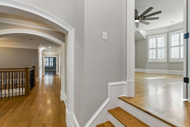 6756 Hedge Row Ln, Gainesville, GA 30506 - corridor with arched walkways, crown molding, wood finished floors, and baseboards