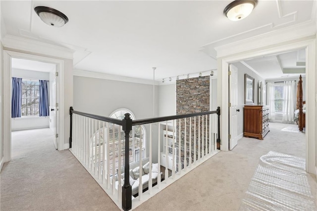 hall featuring light carpet and crown molding