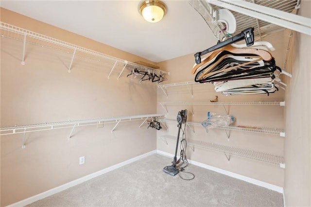 walk in closet featuring carpet