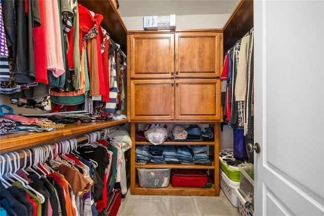 spacious closet with carpet