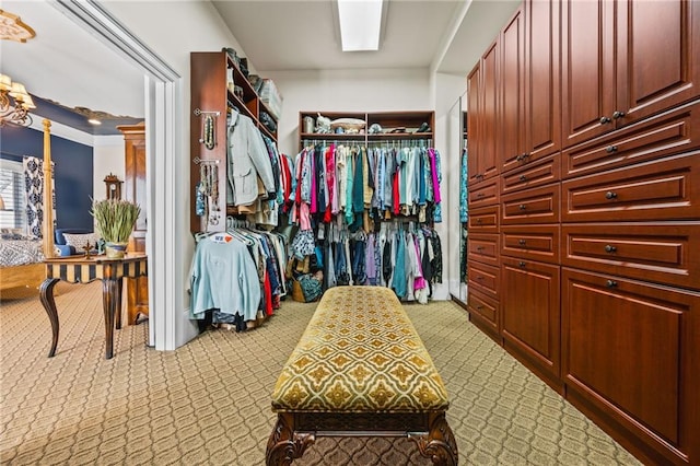 walk in closet featuring carpet flooring