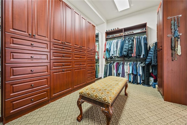 spacious closet with carpet floors