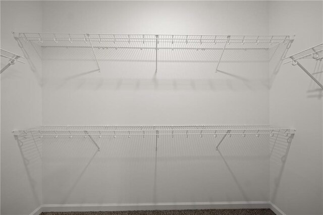 526 Wilbanks Rd, Alto, GA 30510 - view of walk in closet