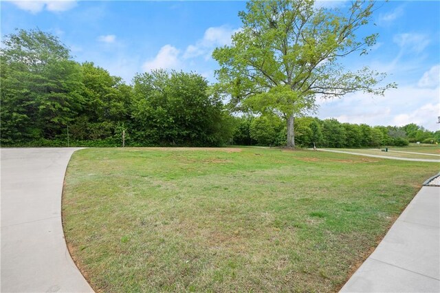 526 Wilbanks Rd, Alto, GA 30510 - view of yard