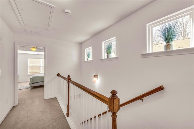 hall featuring a wealth of natural light and light carpet