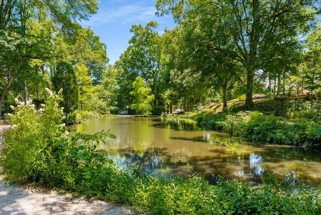 522 Trabert Ave NW, Atlanta, GA 30309 - water view