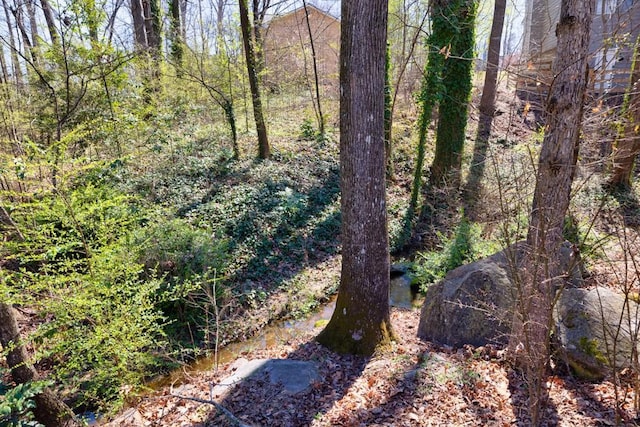 view of landscape featuring a forest view