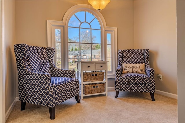 sitting room featuring light carpet