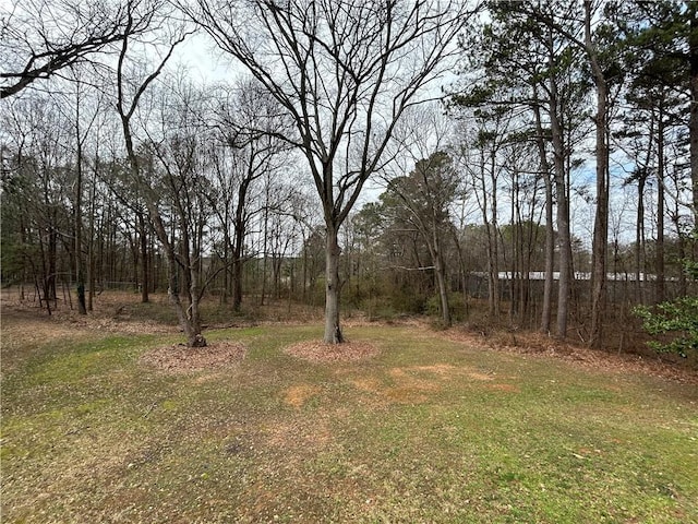 5862 Kitchens Rd SE, Mableton, GA 30126 - view of yard