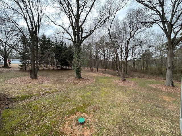 5862 Kitchens Rd SE, Mableton, GA 30126 - view of yard