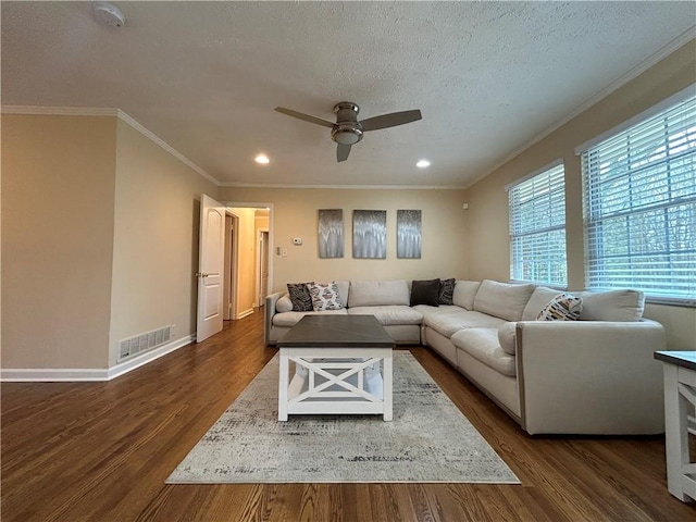 5862 Kitchens Rd SE, Mableton, GA 30126 - living room with crown molding, dark hardwood / wood-style flooring, and a textured ceiling