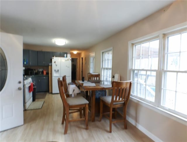 dining room featuring light hardwood / wood-style floors and a healthy amount of sunlight