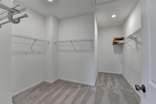 walk in closet with light colored carpet