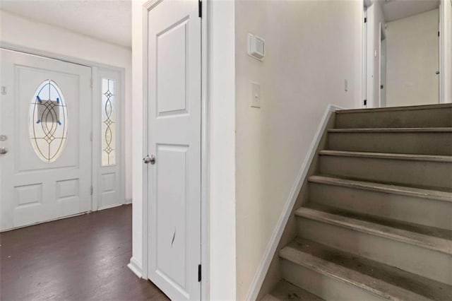 foyer with dark wood-type flooring