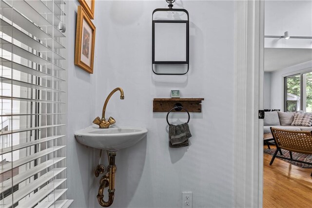 bathroom featuring hardwood / wood-style flooring