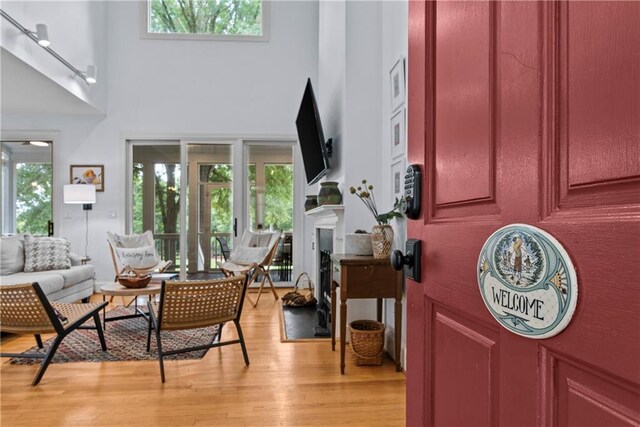 entryway with a high ceiling and light hardwood / wood-style floors