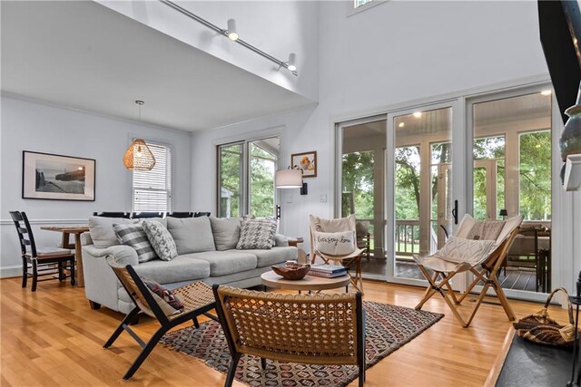 living room featuring track lighting and light hardwood / wood-style flooring