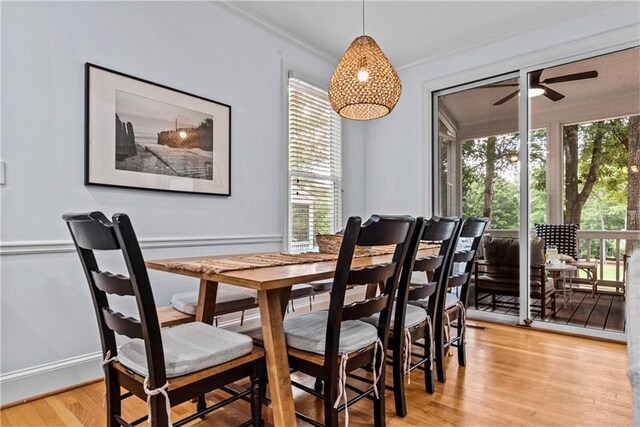 dining area with a healthy amount of sunlight, ceiling fan, and light hardwood / wood-style floors