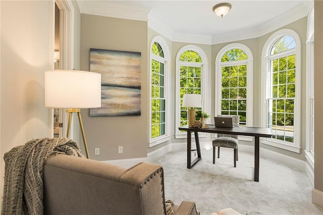 carpeted home office featuring crown molding and plenty of natural light