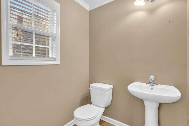 bathroom featuring ornamental molding and toilet