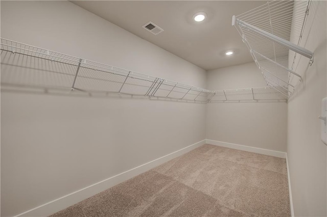 spacious closet with light carpet