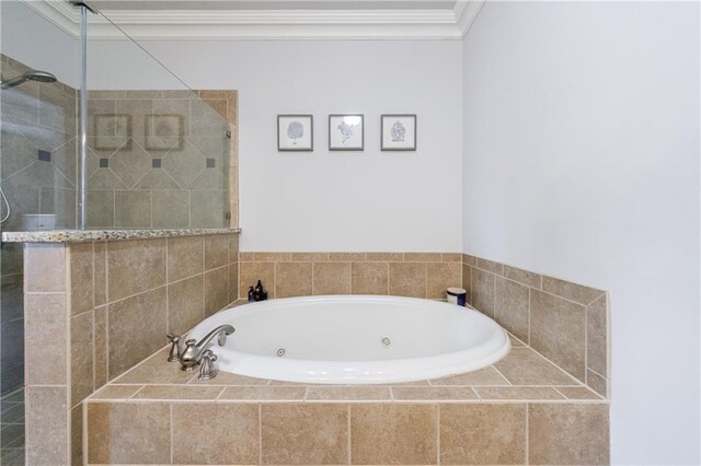 359 Alderwood Ln, Atlanta, GA 30328 - full bath with ornamental molding, a tile shower, and a tub with jets