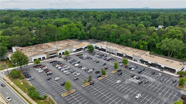 359 Alderwood Ln, Atlanta, GA 30328 - aerial view of a forest