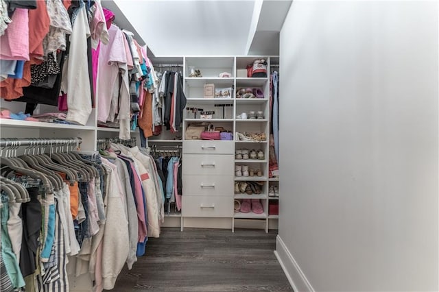 walk in closet with dark wood-style flooring