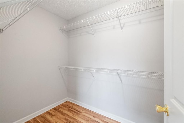 3549 Daventry Ln NW, Kennesaw, GA 30144 - walk in closet with wood finished floors