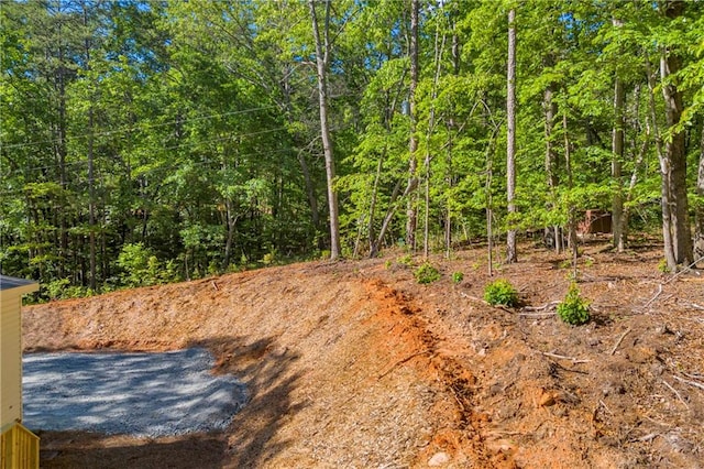 551 Fern Valley Trl NE, Clarkesville, GA 30523 - view of road