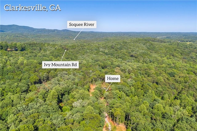551 Fern Valley Trl NE, Clarkesville, GA 30523 - bird's eye view of a heavily wooded area