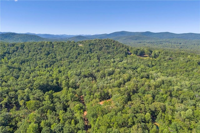 551 Fern Valley Trl NE, Clarkesville, GA 30523 - mountain view featuring a forest