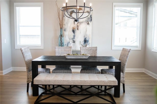 dining room with wood finished floors, baseboards, and a healthy amount of sunlight