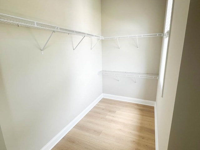 5816 Gainesville St, Flowery Branch, GA 30542 - spacious closet with light wood-type flooring