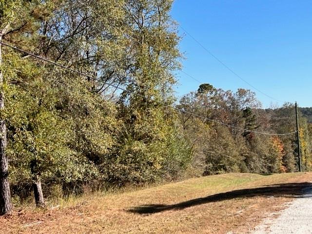 Listing photo 3 for 0 Etchison Spur, Loganville GA 30052